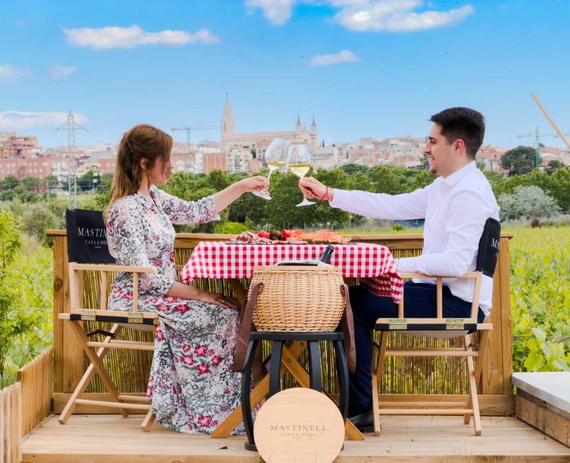 Picnic_Signature_MastineII